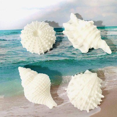 The Midwest Mermaid Company Balm Seashell by The Seashore Lotion Bar Gift Set
