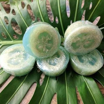The Midwest Mermaid Company Soap Coconut Water & Aloe Seagrass Soap
