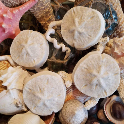 The Midwest Mermaid Company Soap Mermaid Coins - Lucky Sand Dollar Soap